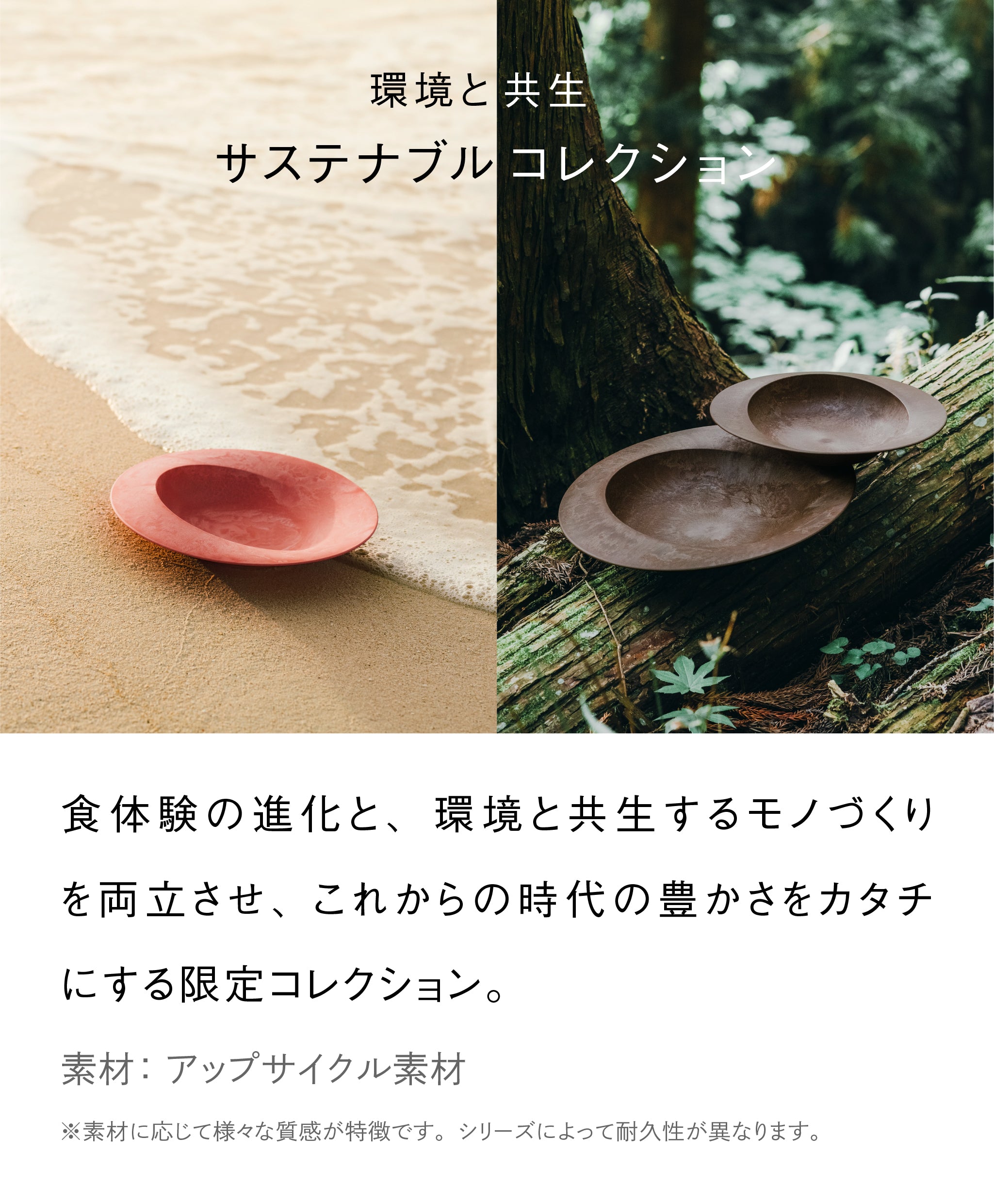 サステナブルコレクション