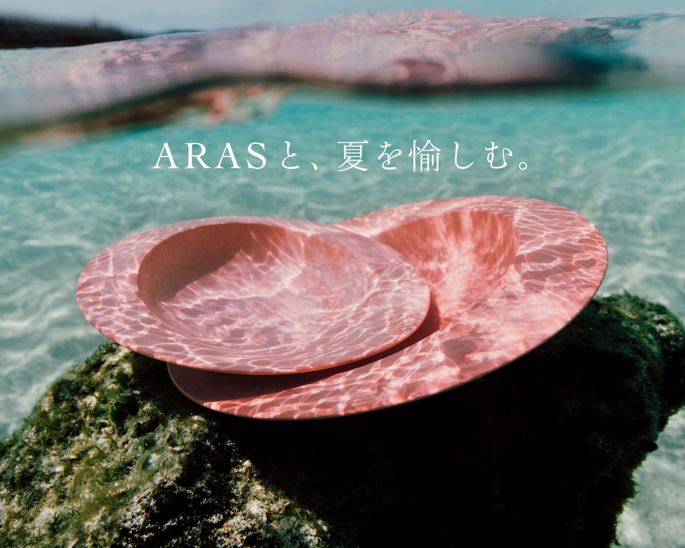 送料無料・セット売り】六 桜 EDITION ＆ PRIVATE STOCK