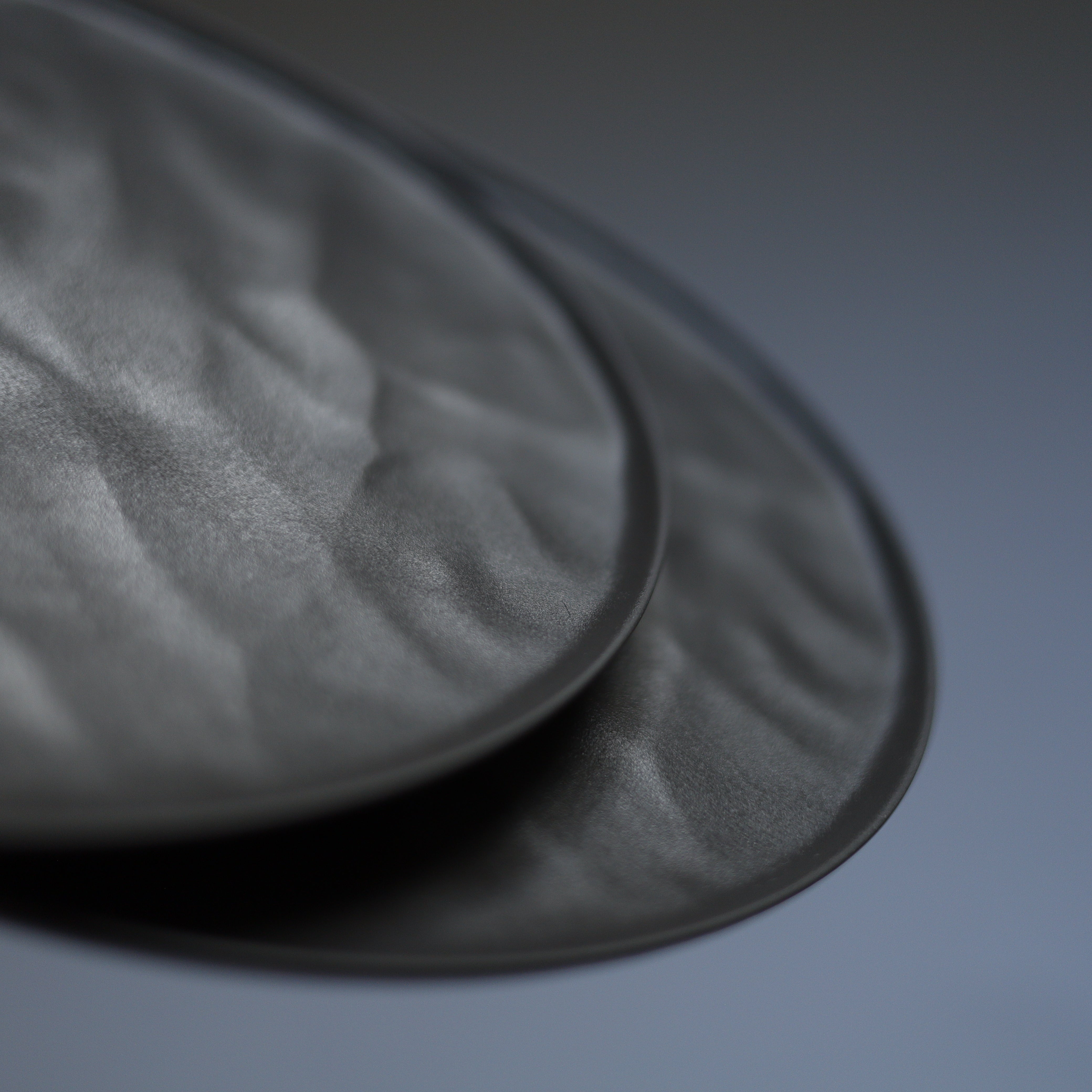 <公式HP限定>大皿ウェーブ　各2セット　＋　白色ギフトボックス付き