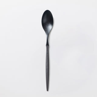 スプーン (21cm)